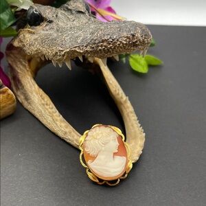 Van Dell shell cameo brooch/pendant vintage